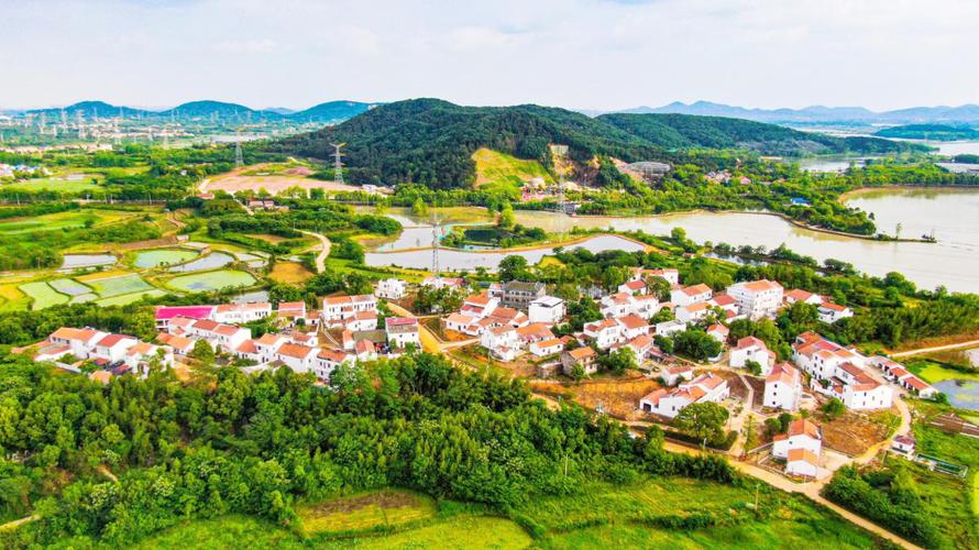 宜居蔡甸生活圈：区域发展新动力（2026年04月15日）-悠哉猫