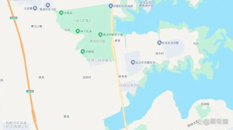 重磅！武汉科技大学知音湖校区落户蔡甸 省级重点项目年内开工-悠哉猫