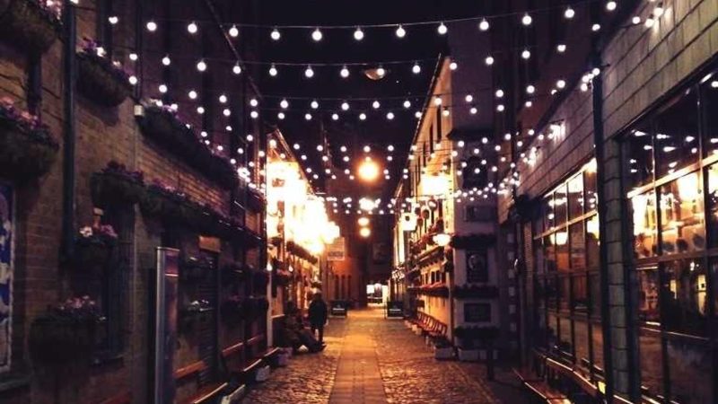 【蔡甸现代城】零星地块十一块-悠哉猫