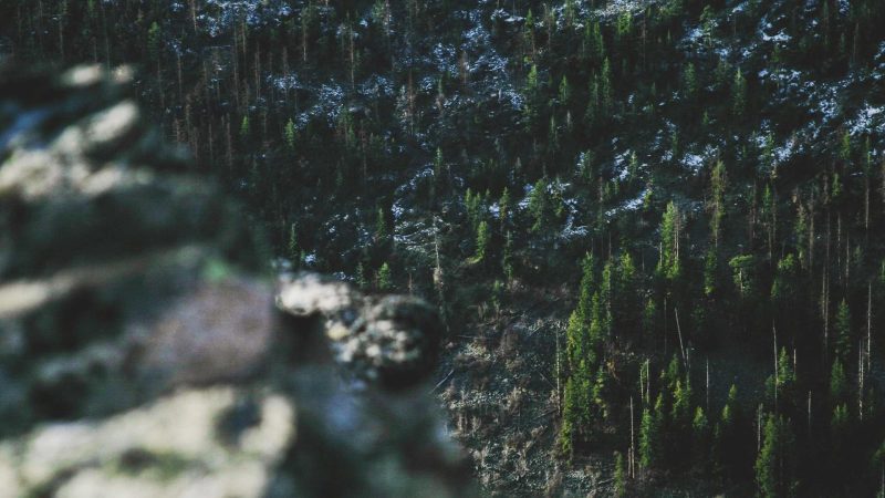 【中法生态城】马宁又上热搜！-悠哉猫